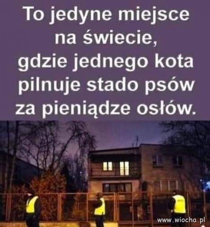 W punkt.
