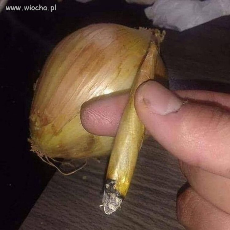 Daje po garach