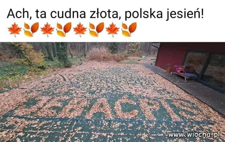 Złota jesień 
