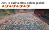 Złota jesień 