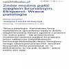 Patologiczny Rzad