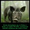Elektorat PiSu napewno uwierzyl Kaczynskiemu...