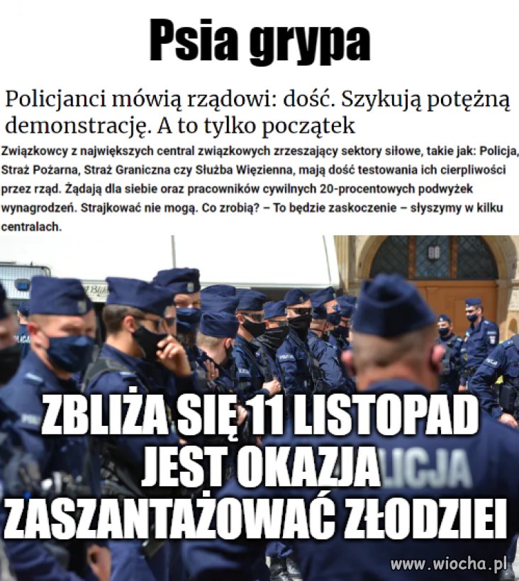 Psia grypa ZOMO-wców 