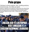Psia grypa ZOMO-wców 