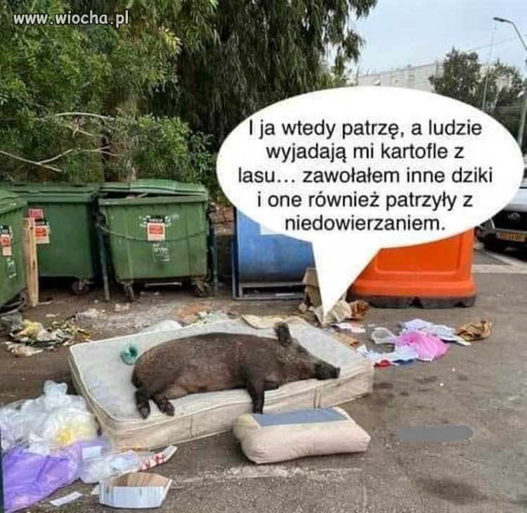 I wszyscy my płakali