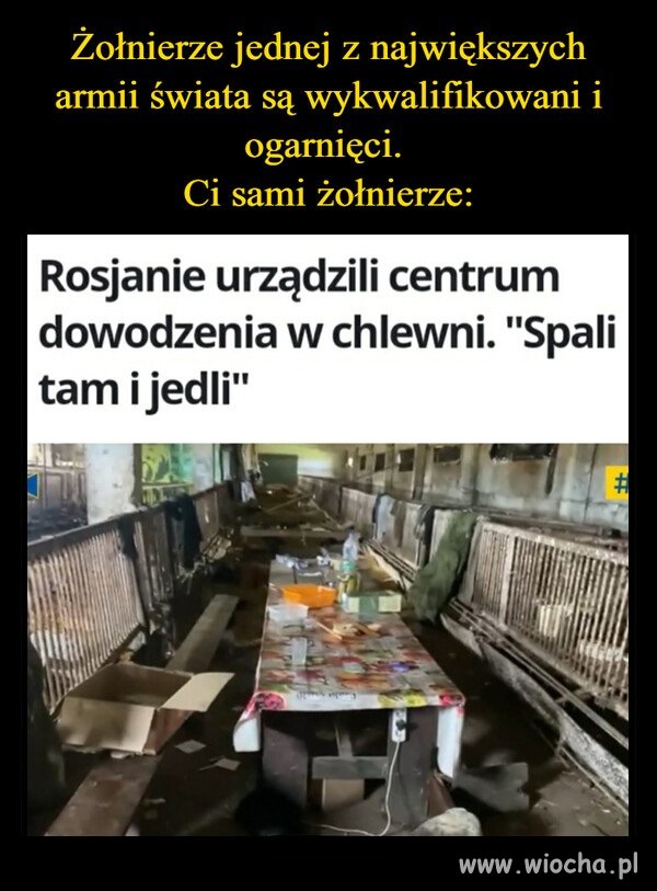 Natury nie oszukasz, ciągnie swój do swego