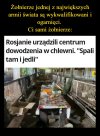 Natury nie oszukasz, ciągnie swój do swego