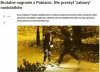 Zakatowanie jeża. 