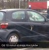 Szaleństwo zakupów