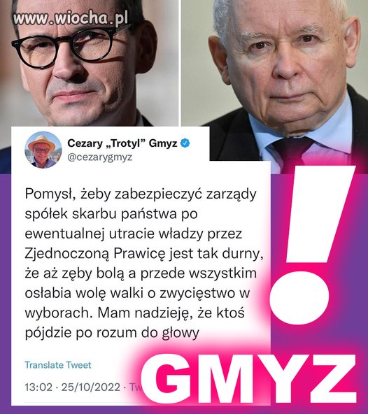 Gmyz