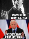 Typowe dla pewnej grupy 