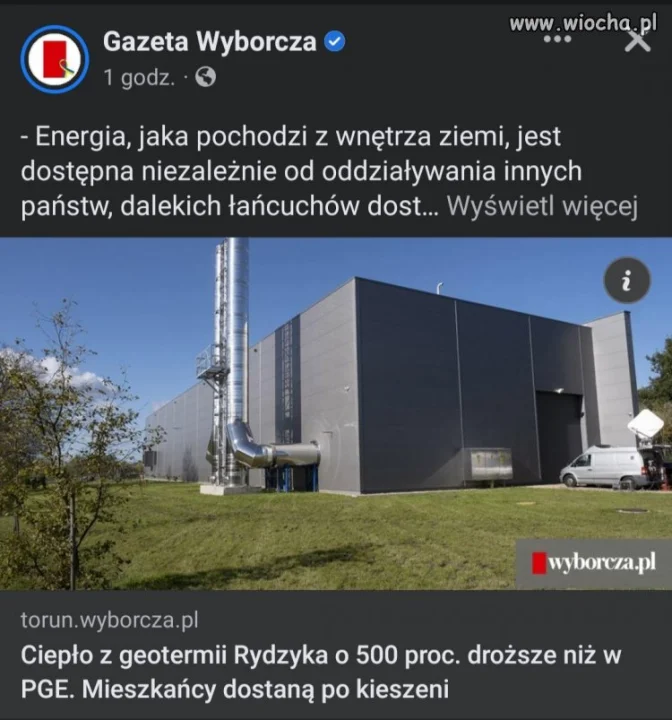 Polacy to jednak głupi naród. 