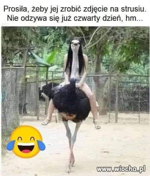Tak to wygląda