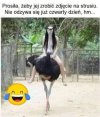 Tak to wygląda