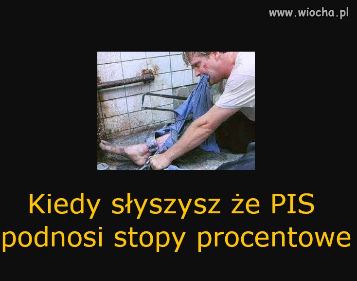 Stopy procentowe
