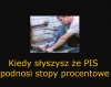 Stopy procentowe