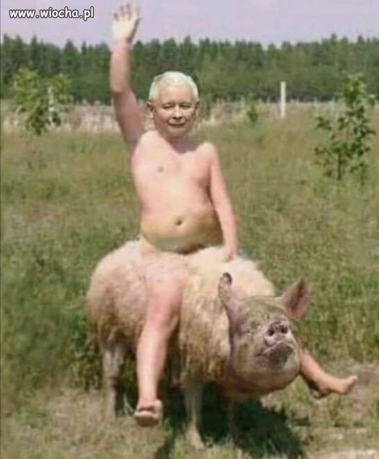 Ja jestem wasz rodak