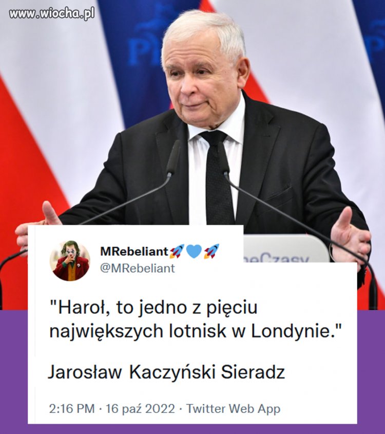 Idol pisiaków 