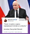 Idol pisiaków 