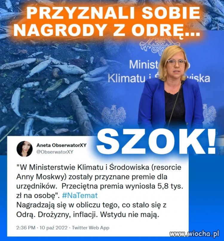 Bez komentarza 