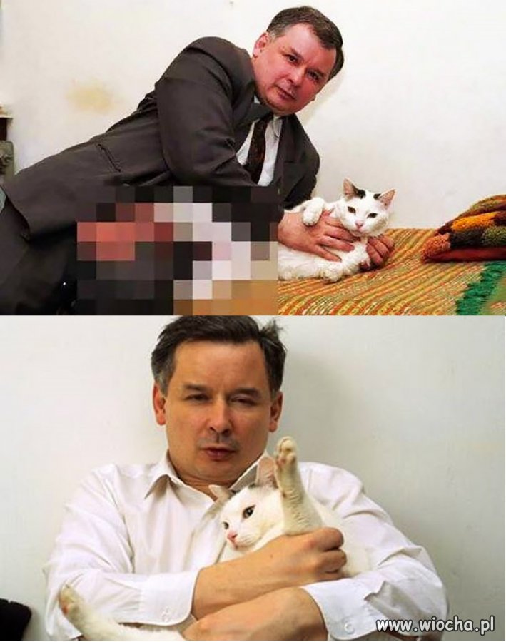 Znany miłośnik zwierząt