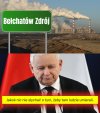 Szaleniec