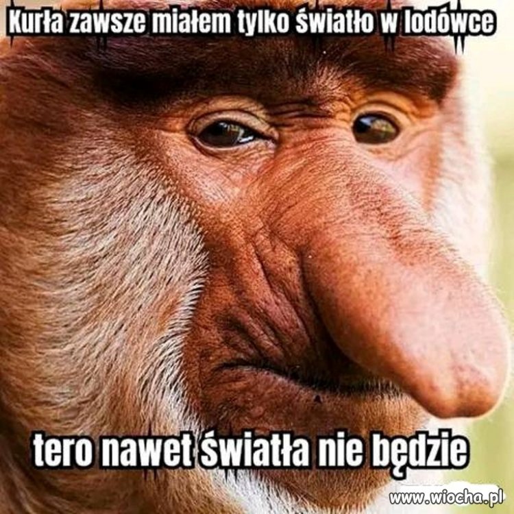 No i śmieszne