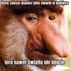 No i śmieszne
