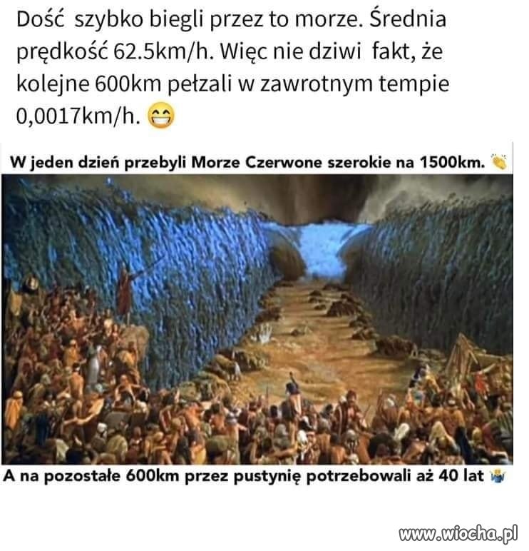 Tak to wygląda