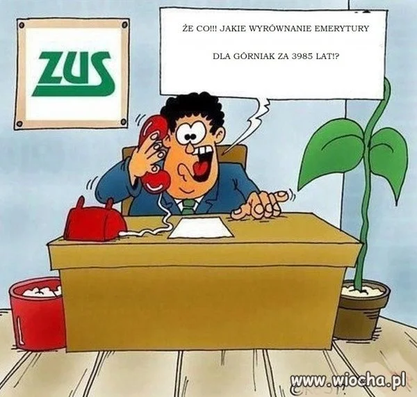 ZUS ma przejeb@ne.