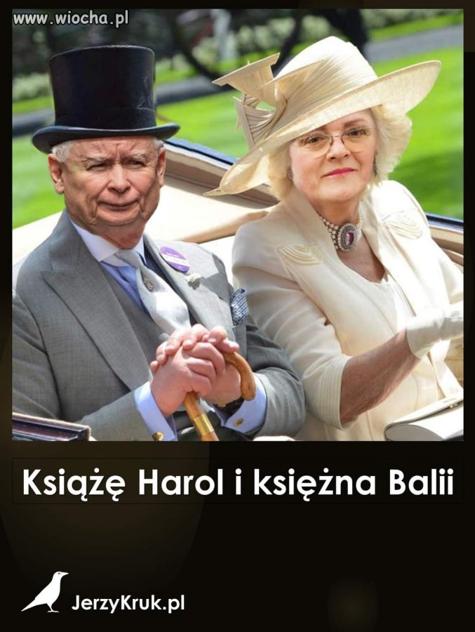 Arystokracja po repolonizacji