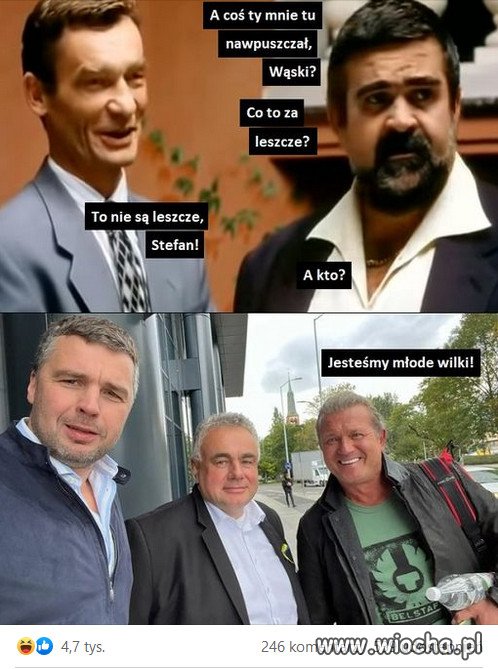 "Młode Wilki" kliki PiSu...