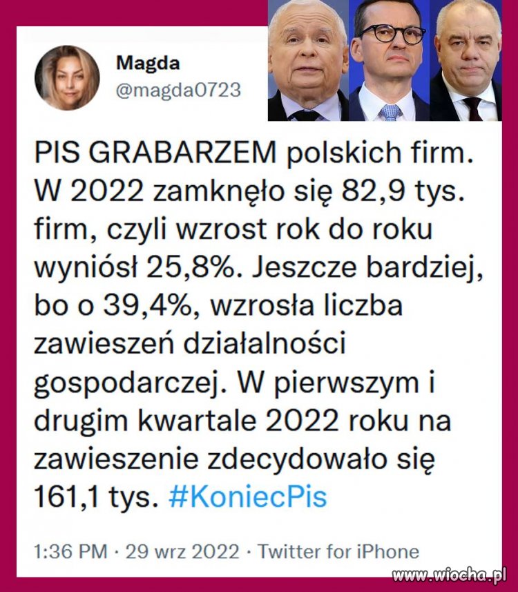 PiS grabarzem polskich firm.