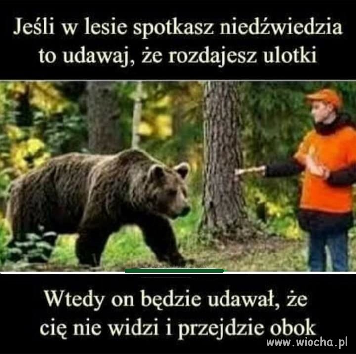 Tak to właśnie wygląda