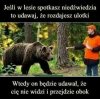 Tak to właśnie wygląda