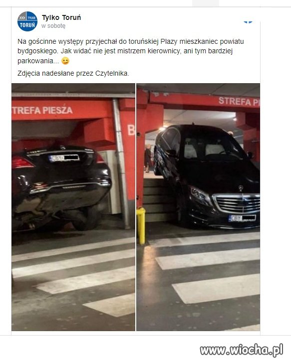 Mistrz kierownicy