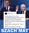 PiSdebile i ich sukcesy