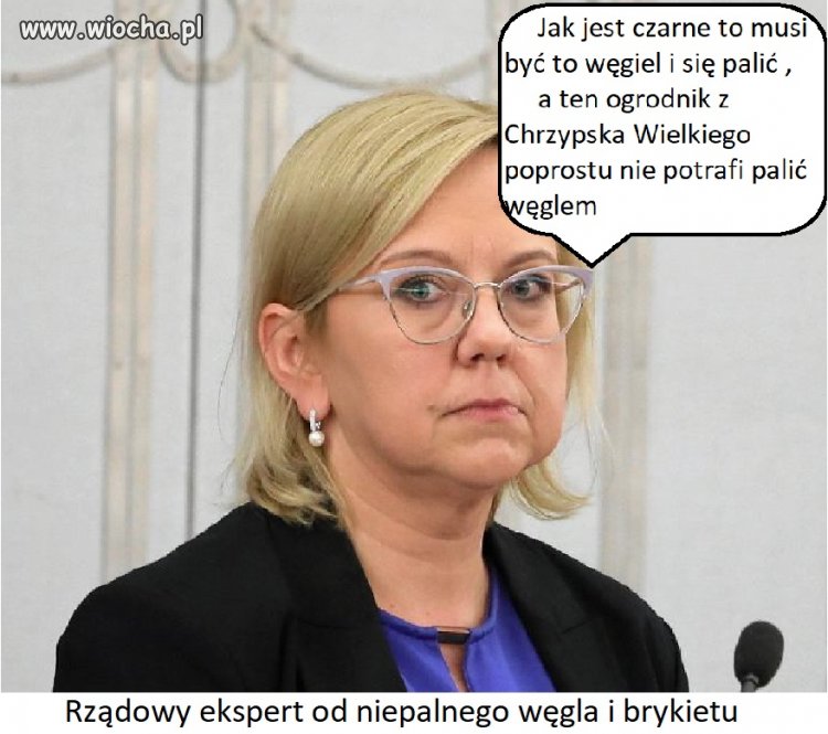 Ekspert od węgla 