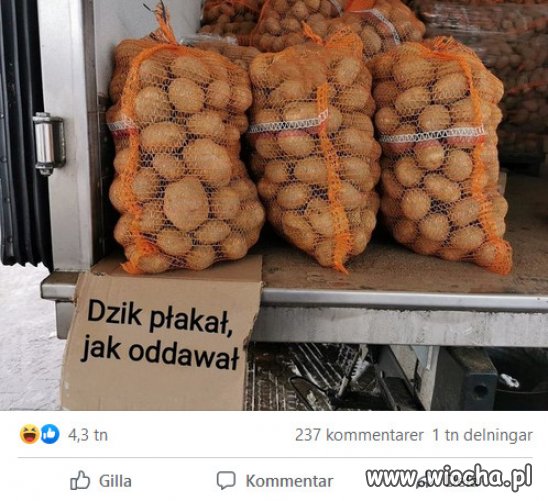 Tusk musi wrócić by Kaczor nie zgłupiał do reszty...