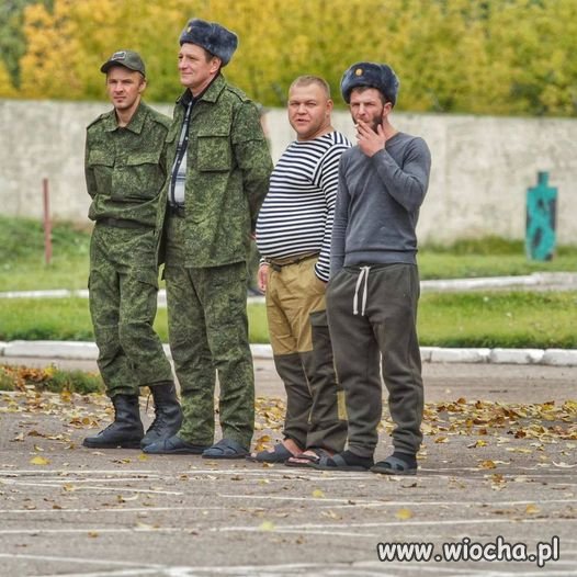 Kwiat rosyjskiej mobilizacji