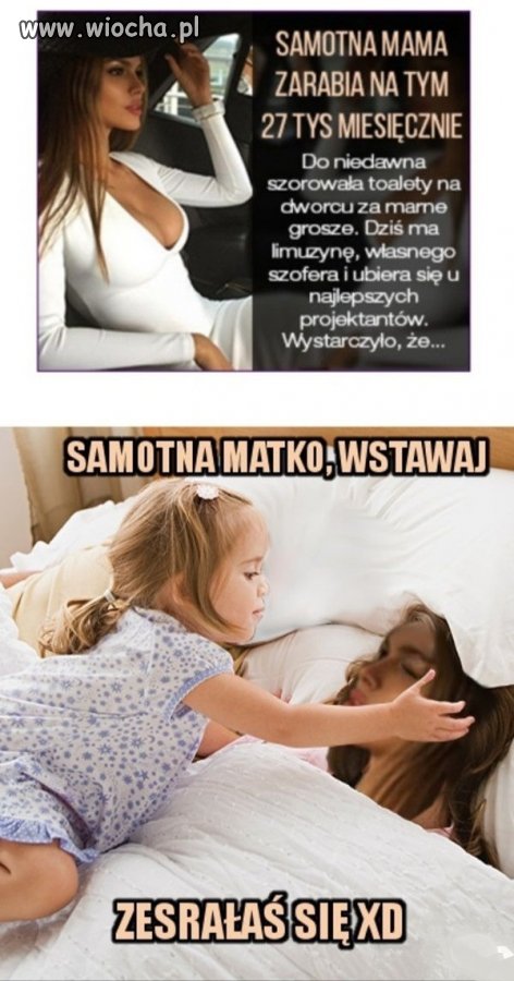 Samotna madka.