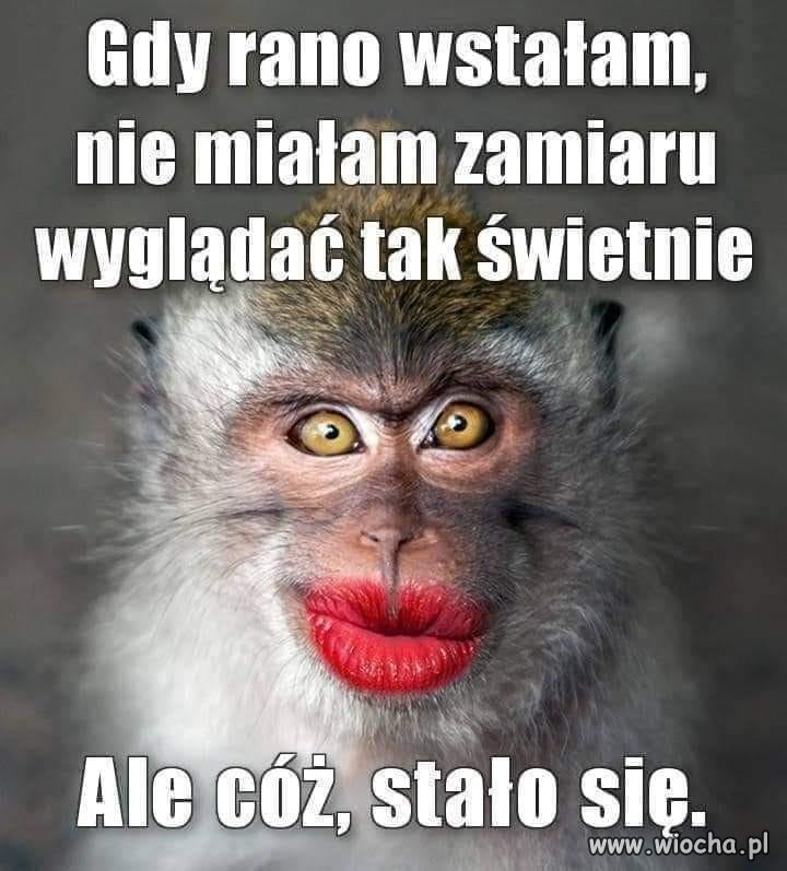 Najgorsze , że one