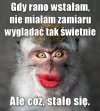 Najgorsze , że one