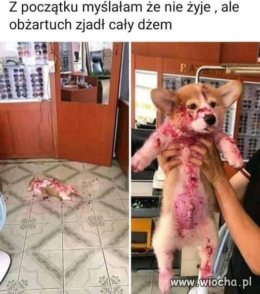 Bez polityki i seksu