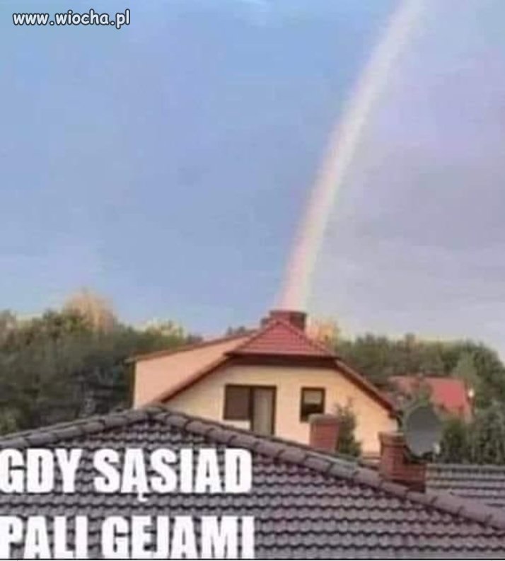Co na to prezes Jarosław - gejami wolno czy nie?! 