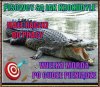 Trafne określenie nierobów.