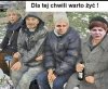 Menele