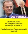 PiS najbardziej się przyczynił do upadku sekty kościoła!