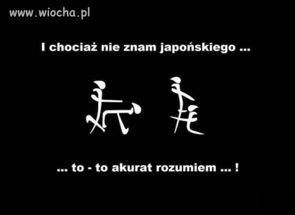 Z dudy do japy.