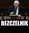 PiS-owska wersja naczelnika